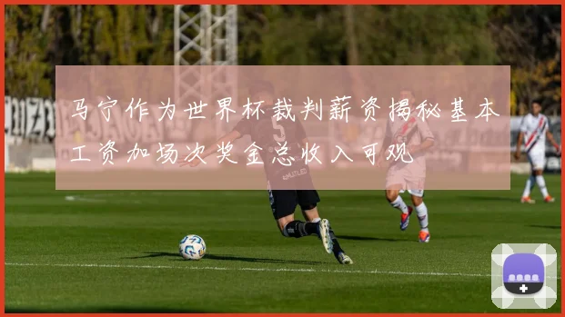 马宁作为世界杯裁判薪资揭秘基本工资加场次奖金总收入可观