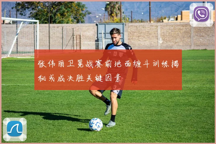 张伟丽卫冕战赛前地面缠斗训练揭秘或成决胜关键因素